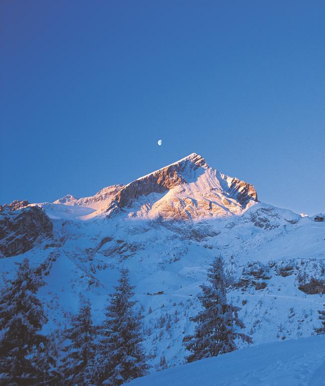 Ferienwohnungen Zugspitze ไกรน์เนา ภายนอก รูปภาพ